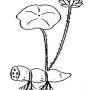 what_blooms_beneath.jpg